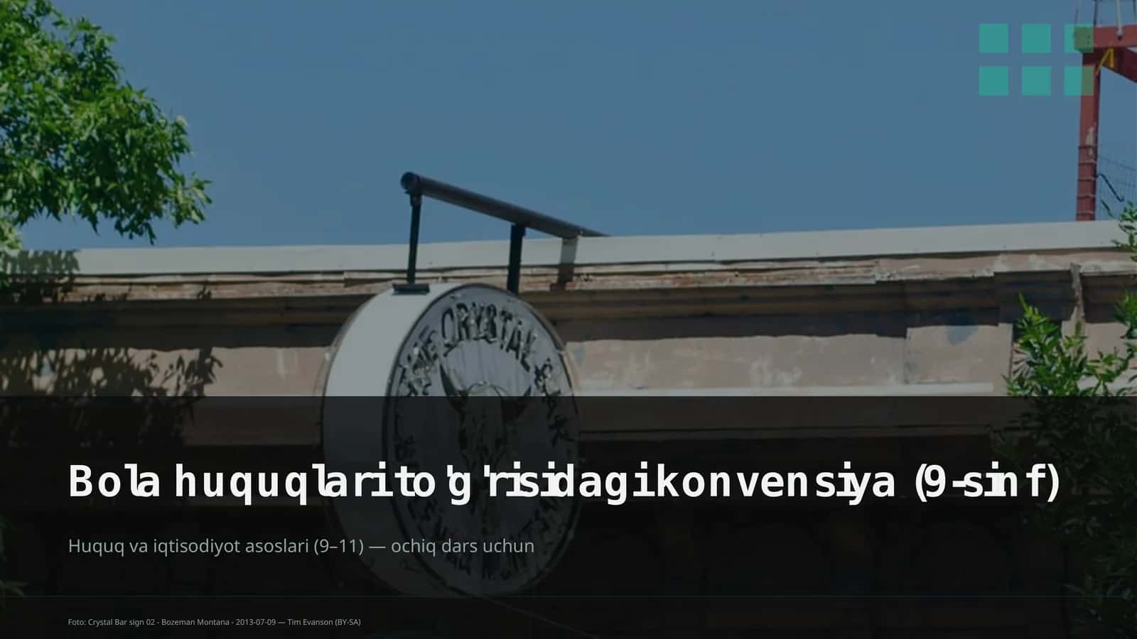 Bola huquqlari to'g'risidagi konvensiya (9-sinf)
