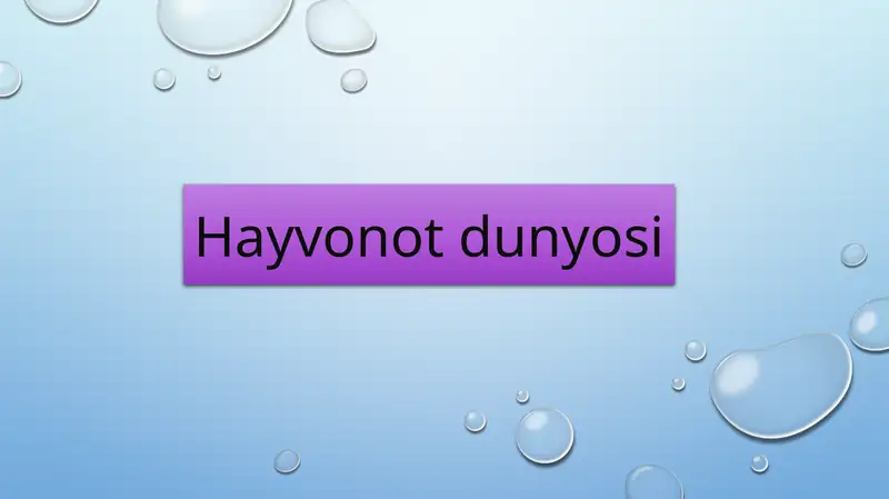 Hayvonotdunyosi