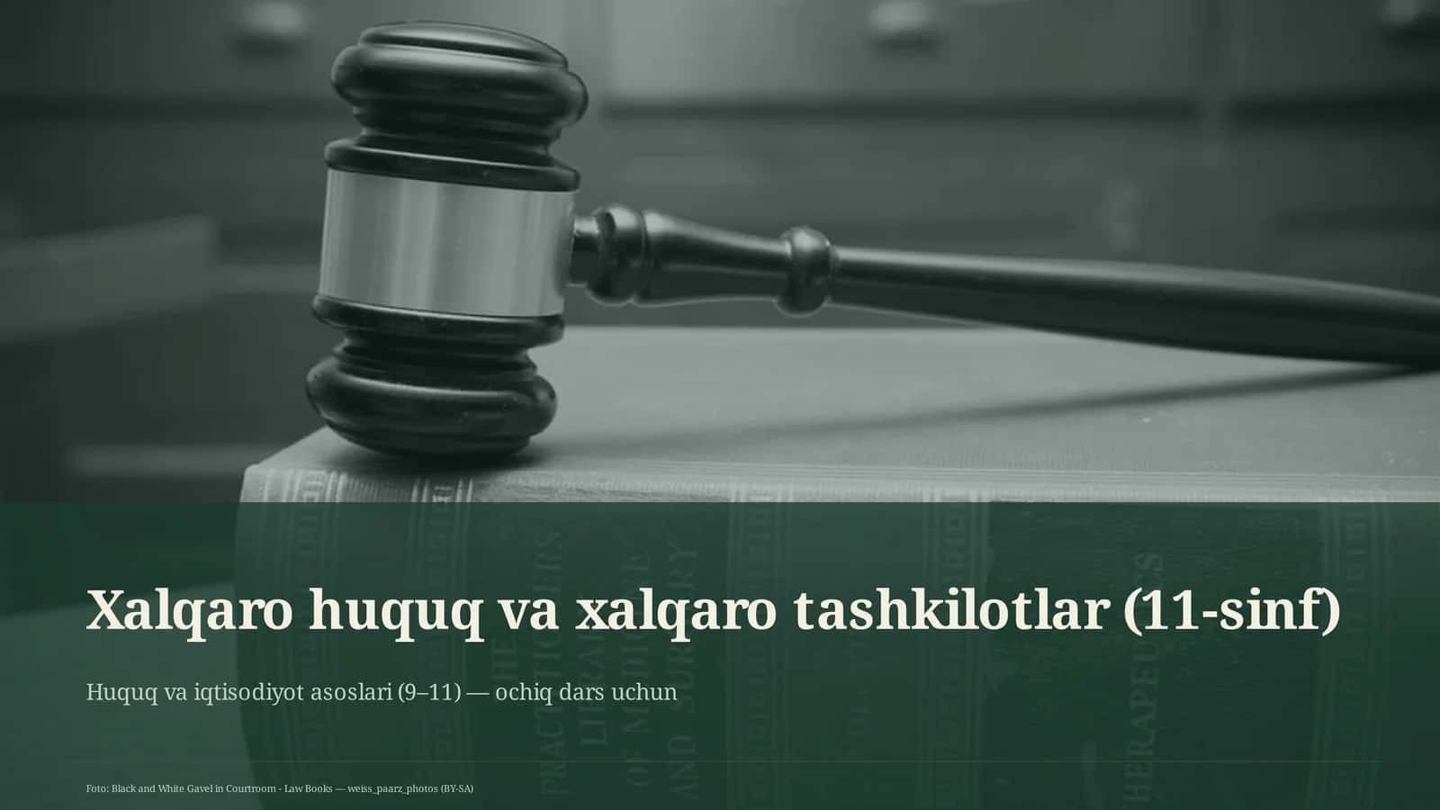 Xalqaro huquq va xalqaro tashkilotlar (11-sinf)