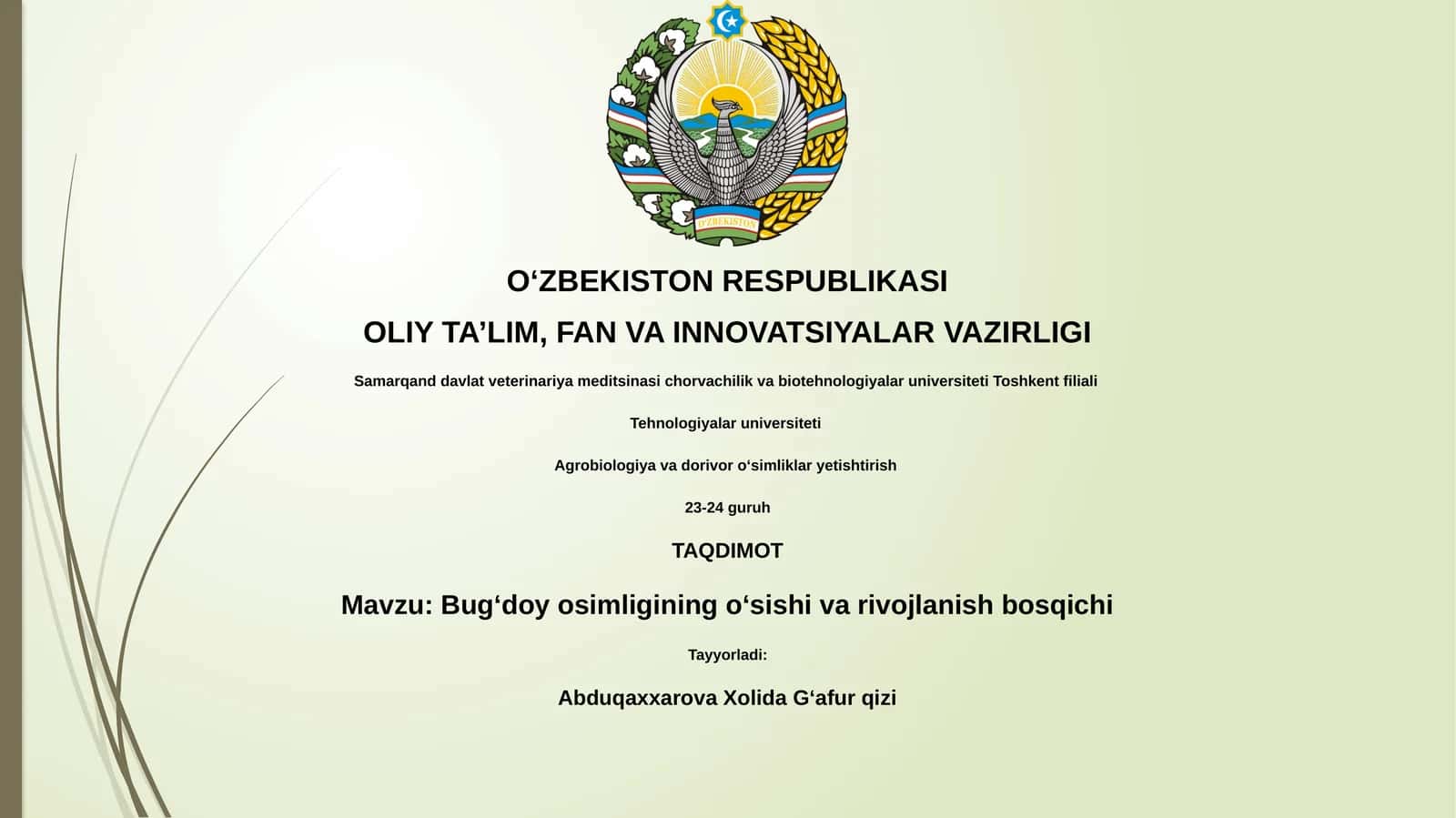Bugʻdoy osimligining oʻsishi va rivojlanish bosqichi