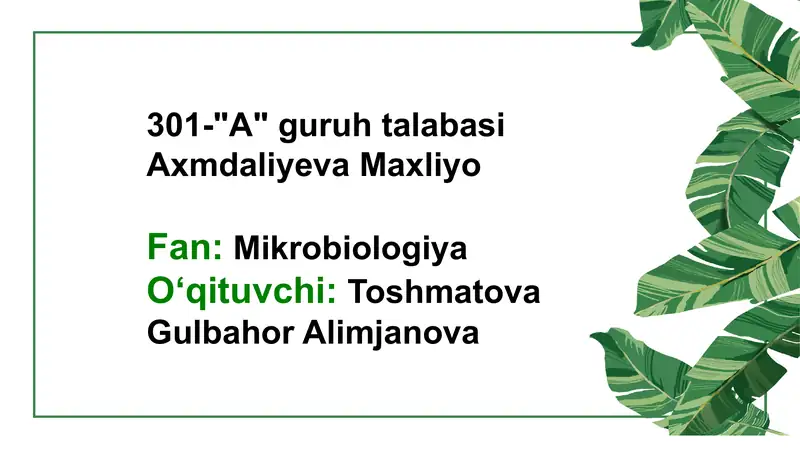 Botulizm qoʻzgʻatuvchisi