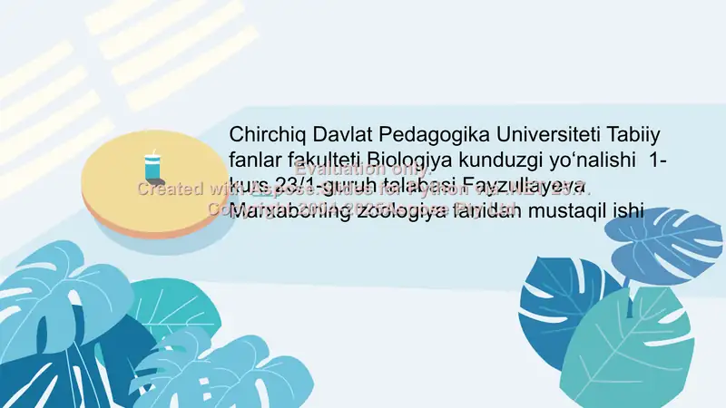 Qorinoyoqli mollyuskalar
