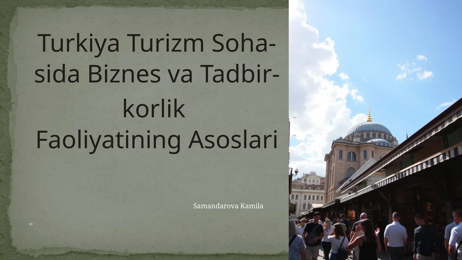 Turkiya Turizm Soha­sida Biznes vaTad­bir­kor­lik Faoli­yatiningAsoslari