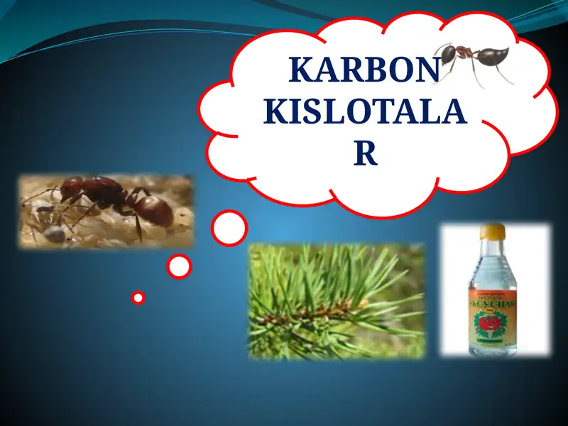 KARBON KISLOTALAR. To’yingan dikarbon kislotalar va ularning hosilalari.