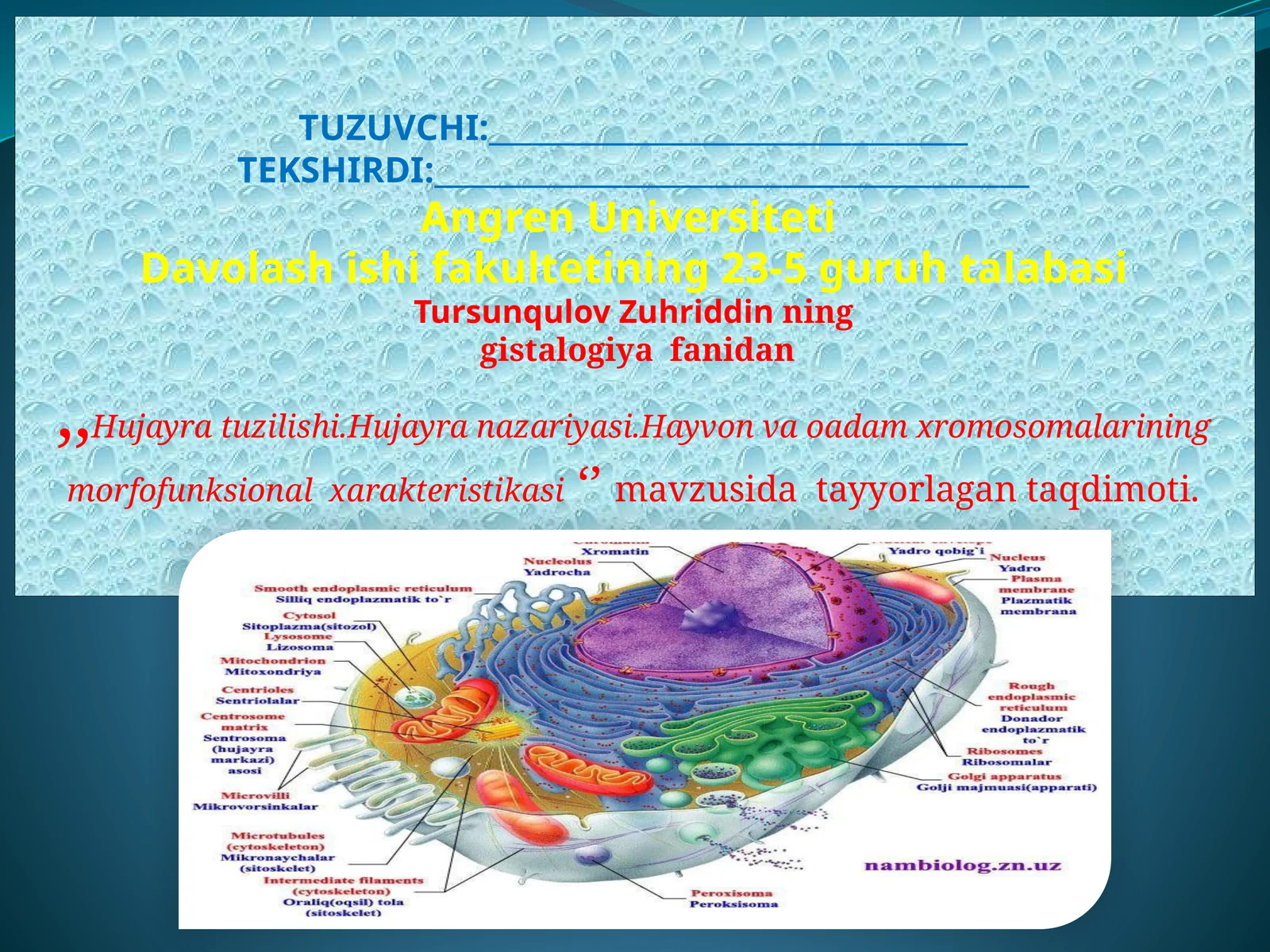 Hujayratuzilishi, Hujayranazariyasi, O’simlikhujayrasi, Hayvonvaodamxromosomalariningmorfofunksionalxarakteristikasi