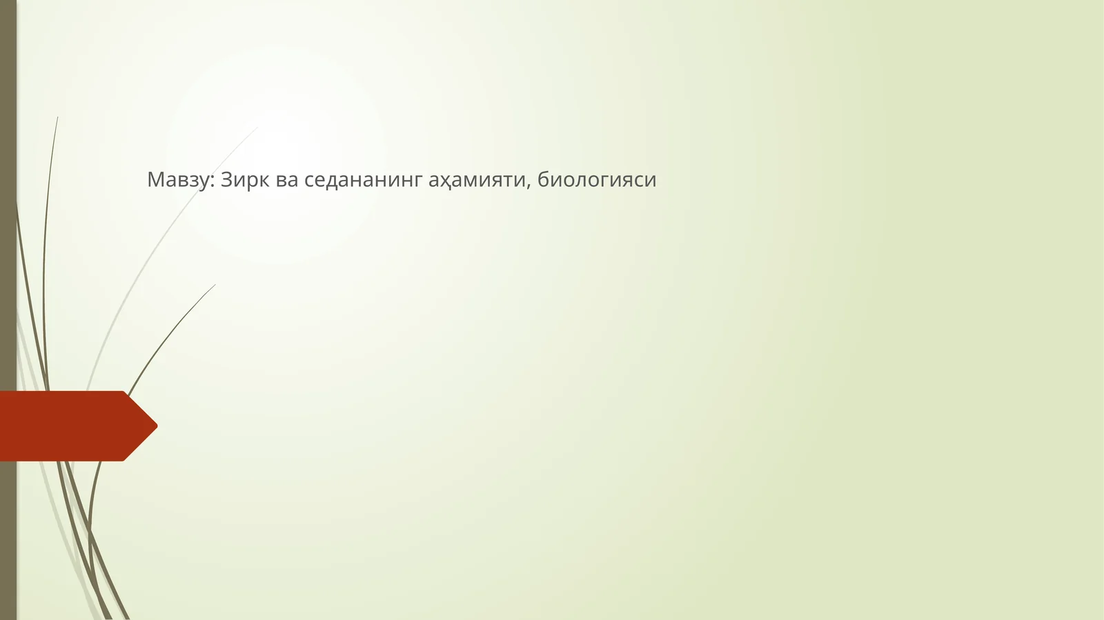 Зирк ва седананинг аҳамияти, биологияси