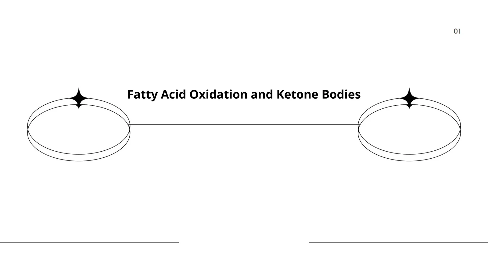 Fatty Acid Oxidation and Ketone Bodies