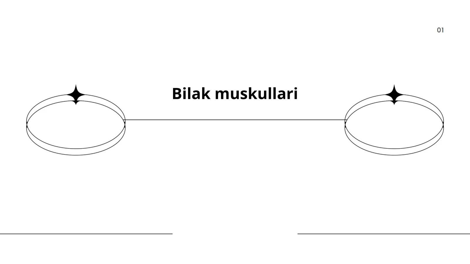 Bilak muskullari anatomiyasi