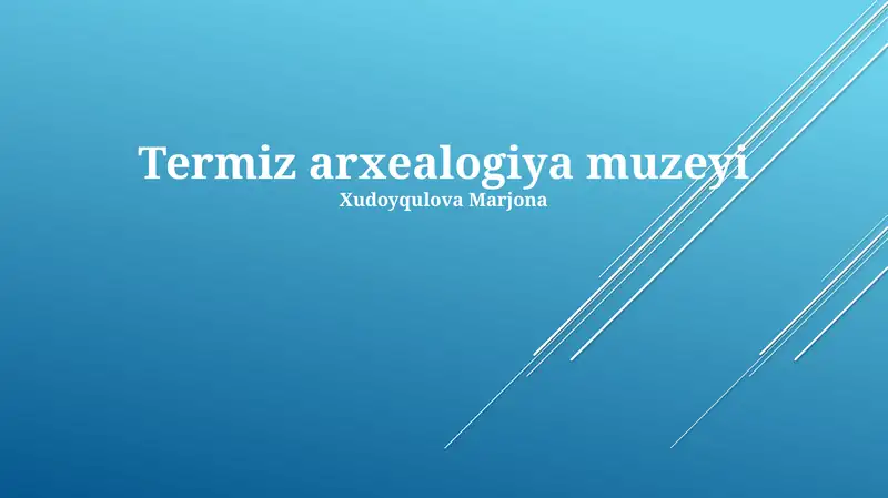 Termiz Arxeologiya Muzeyi