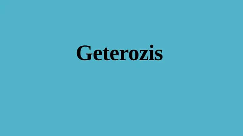 Geterozis
