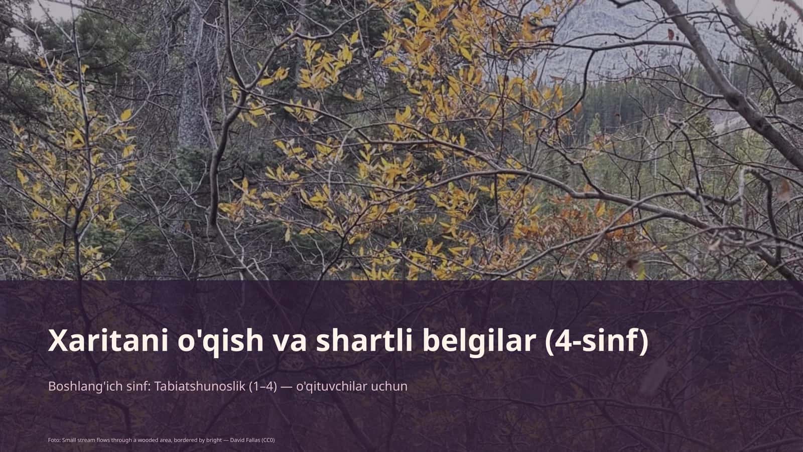 Xaritani o'qish va shartli belgilar (4-sinf)