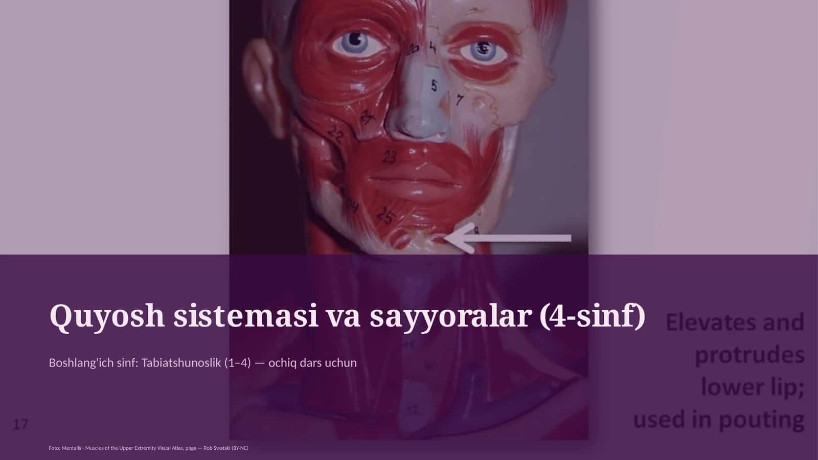 Quyosh sistemasi va sayyoralar (4-sinf)