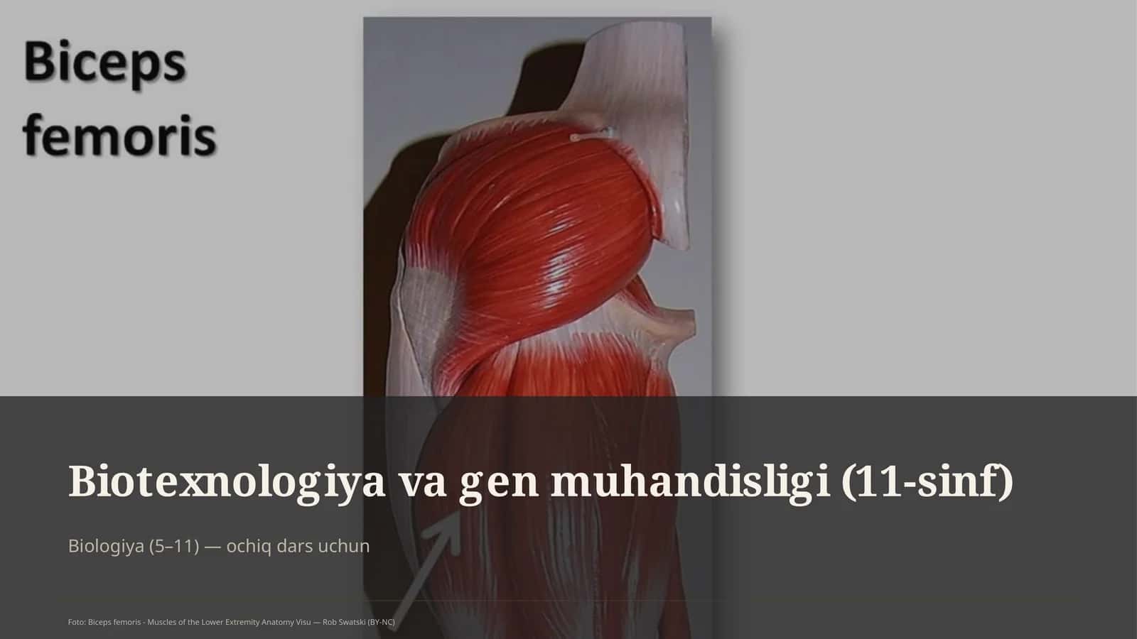 Biotexnologiya va gen muhandisligi (11-sinf)