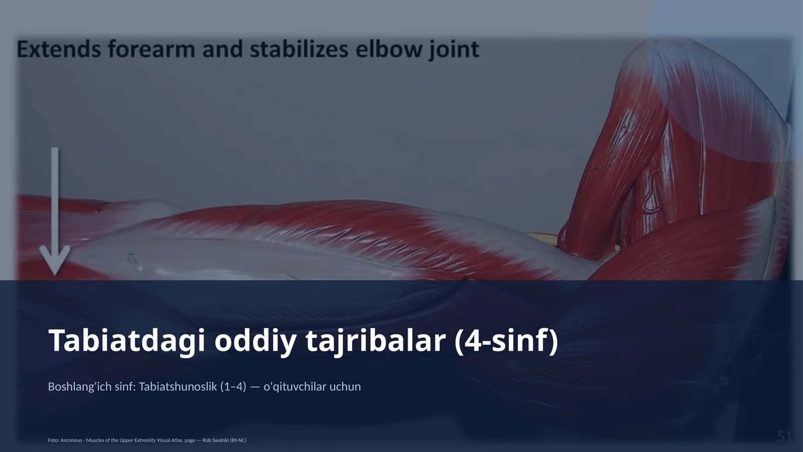 Tabiatdagi oddiy tajribalar (4-sinf)
