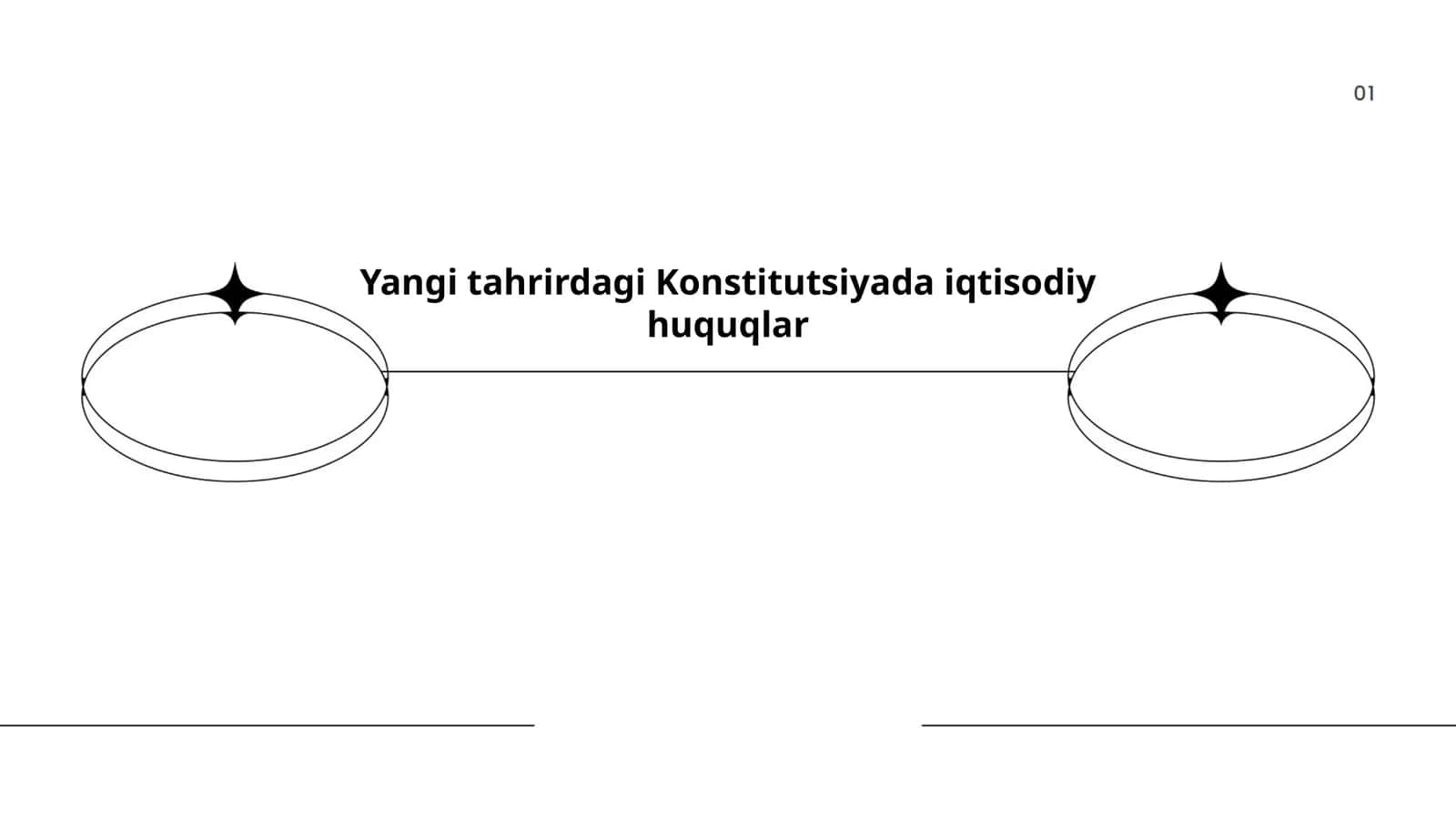 Yangi tahrirdagi Konstitutsiyada iqtisodiy huquqlar