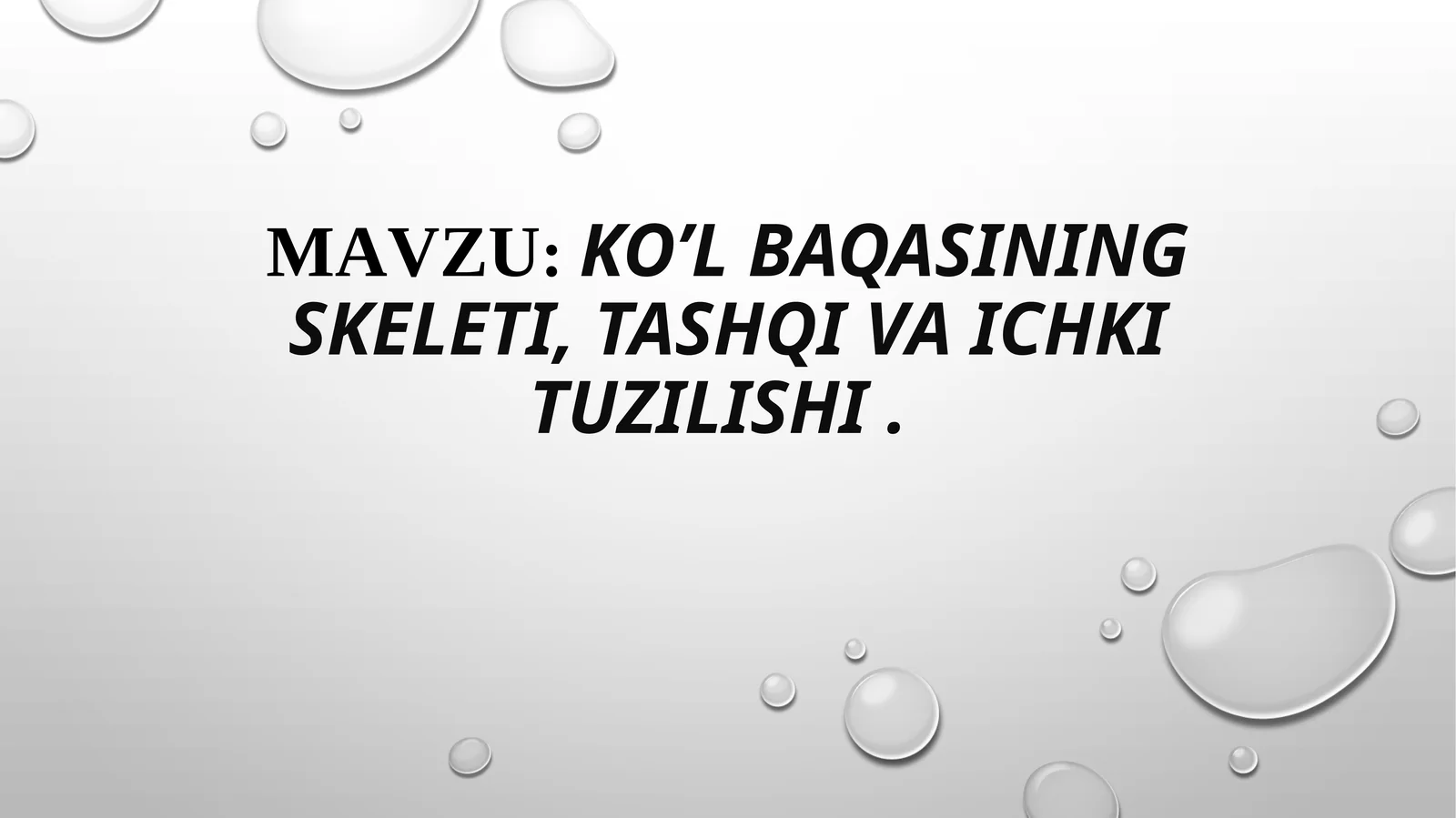 Ko’l baqasining skeleti, tashqi va ichki tuzilishi
