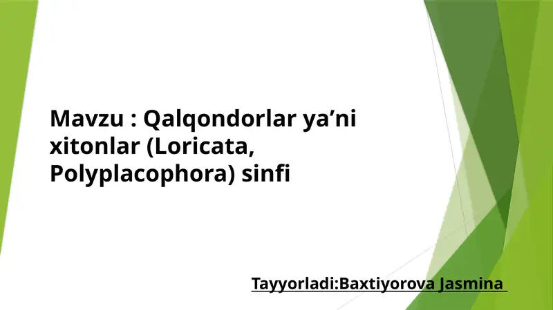 Qalqondorlaryaʼnixitonlar(Loricata,Polyplacophora) sinfi