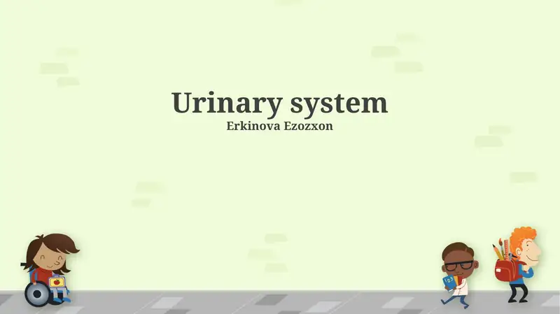 Urinary system