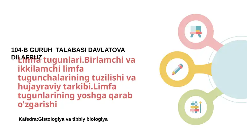 Limfa tugunlari.Birlamchi va ikkilamchi limfa tugunchalarining tuzilishi va hujayraviy tarkibi