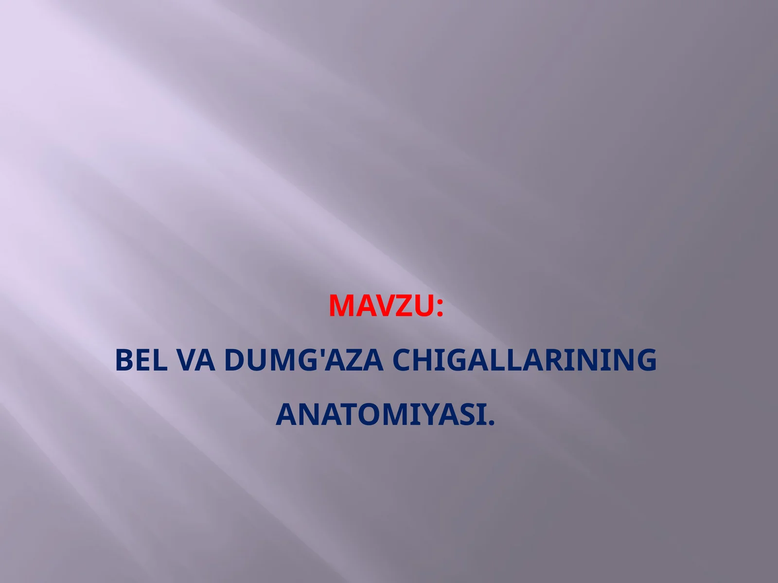Bel va dumg'aza chigallarining anatomiyasi.