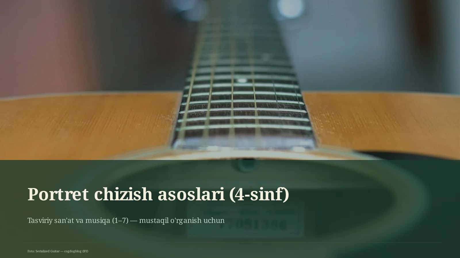Portret chizish asoslari (4-sinf)
