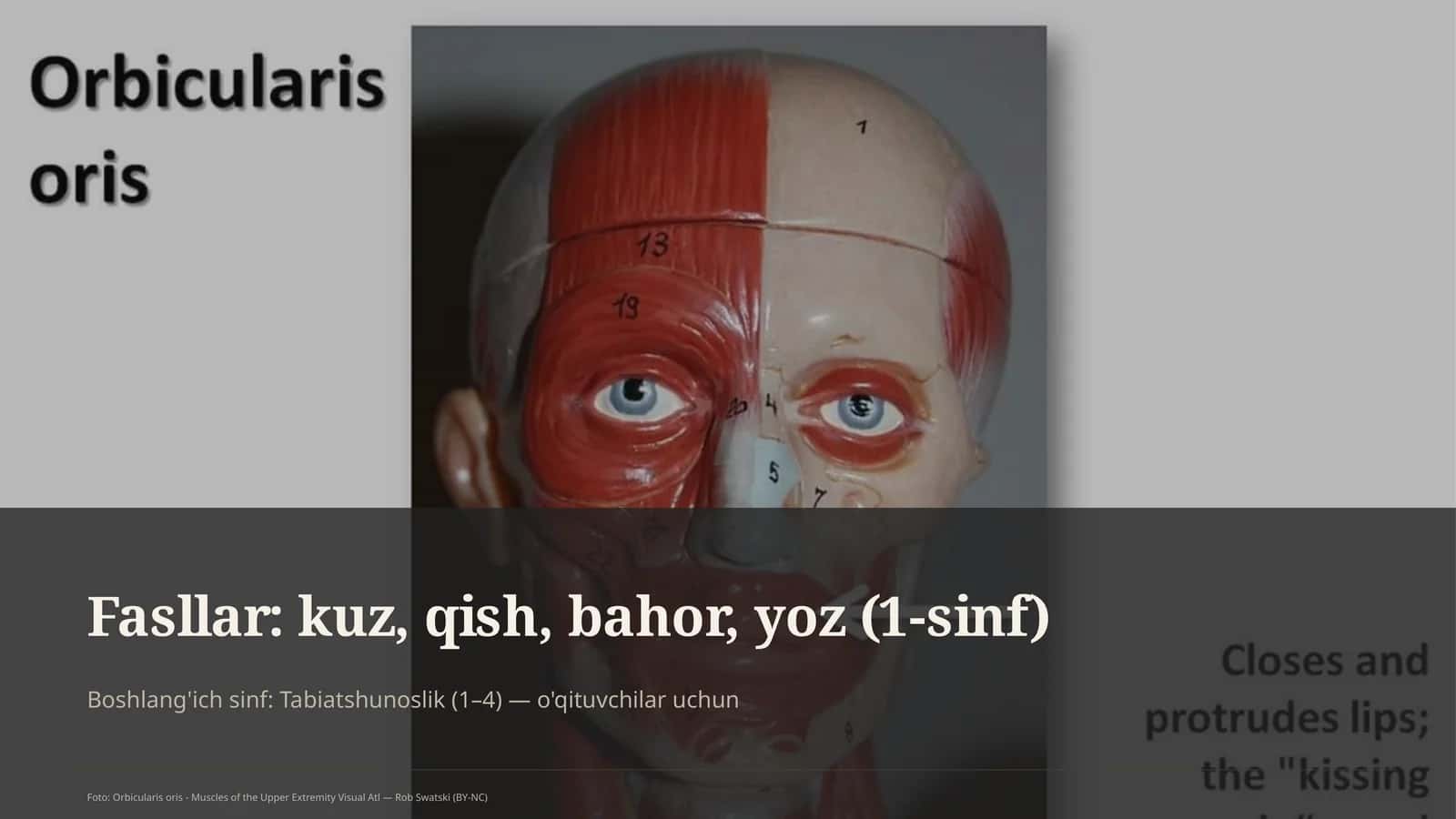 Tabiatshunoslik (1–4) Dars rejasi