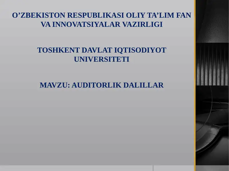 Auditorlik Dalillar