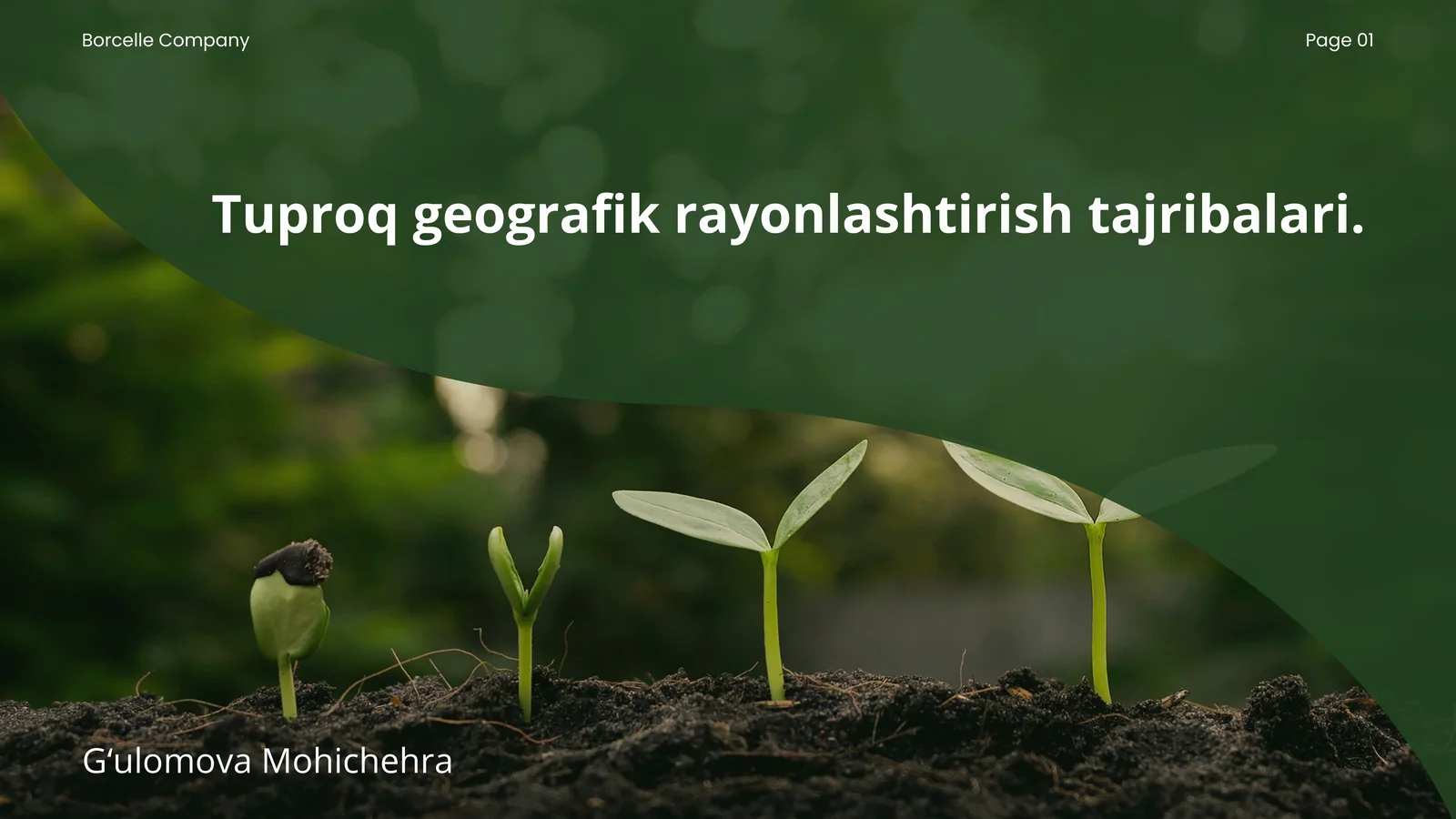 Tuproq geografik rayonlashtirish tajribalari