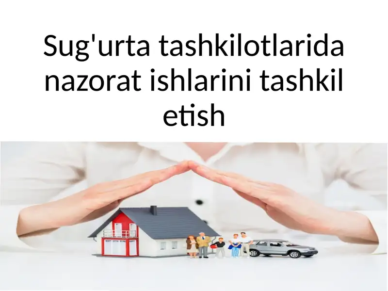 Sug'urta tashkilotlarida nazorat ishlarini tashkil etish