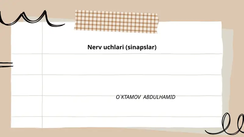 Nerv uchlari (sinapslar)