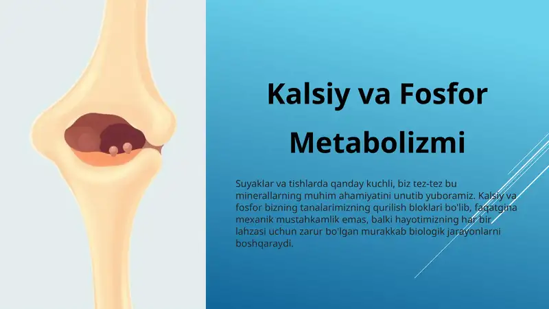 Kalsiy va Fosfor metabolizmi