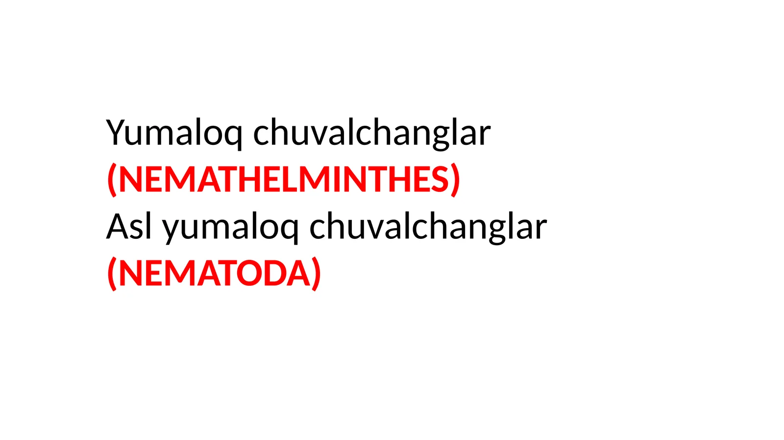 Yumaloq chuvalchanglar (NEMATHELMINTHES)
