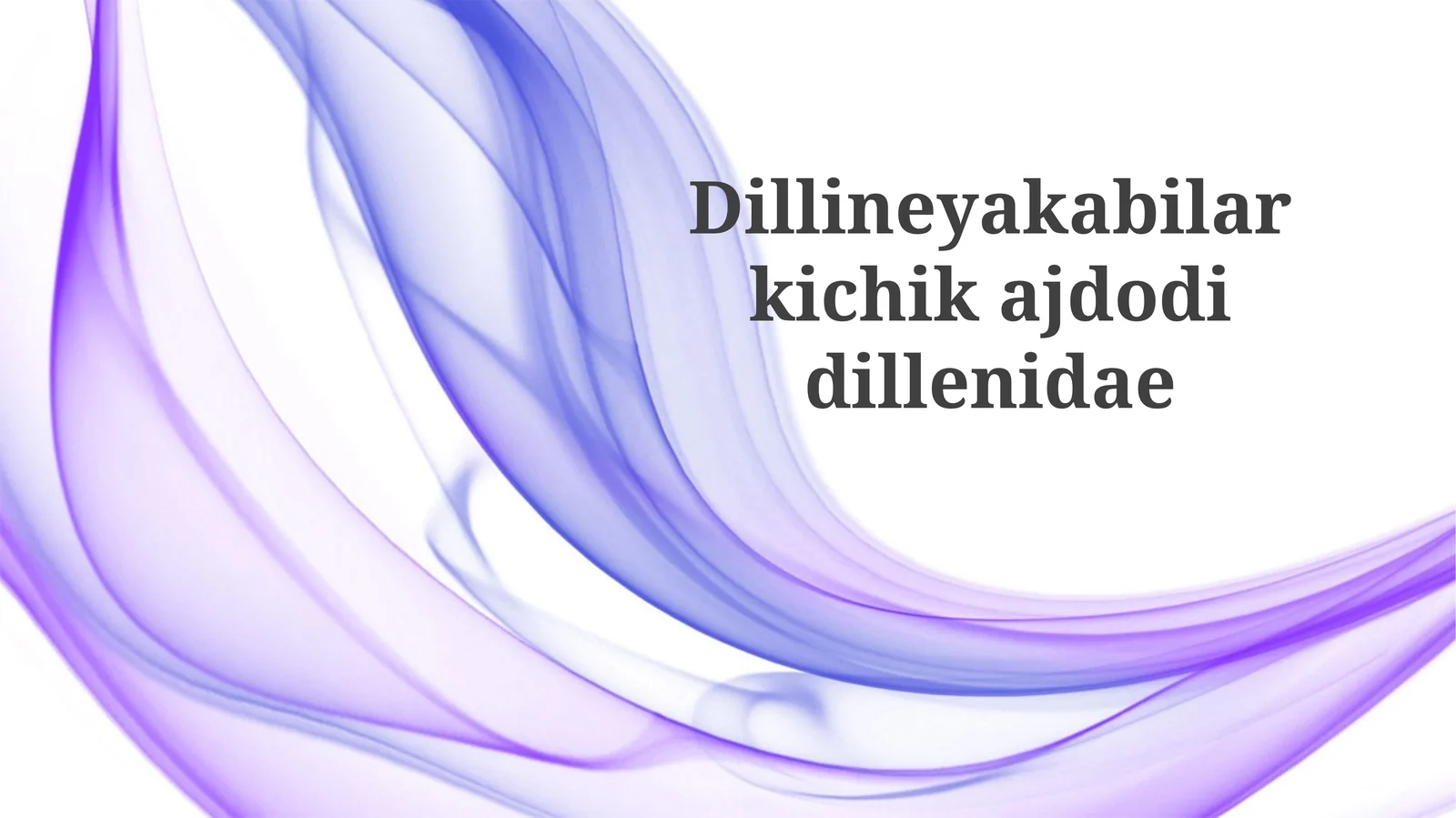 Dillenidae