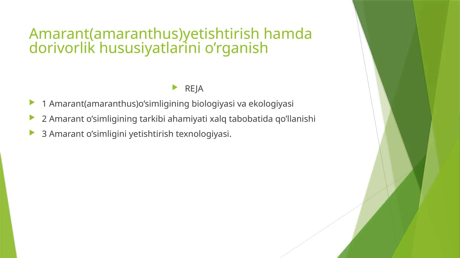 Amarant(amaranthus)yetishtirish hamda dorivorlik hususiyatlarini o’rganish