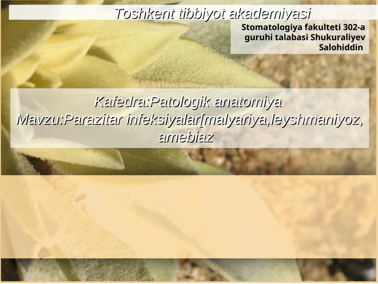 Parazitar infeksiyalar - Leyshmaniyoz