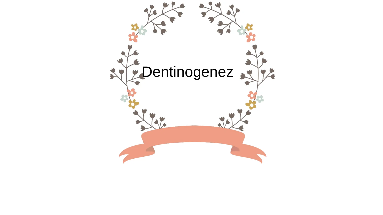 Dentinogenez