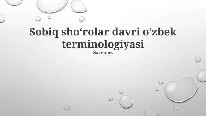Sobiq sho‘rolar davri o‘zbek terminologiyasi