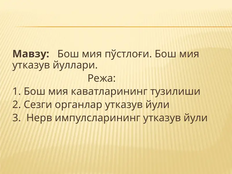 Бош мия пўстлоғи. Бош мия утказув йуллари