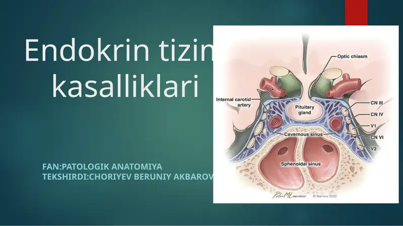 Endokrin tizim kasalliklari