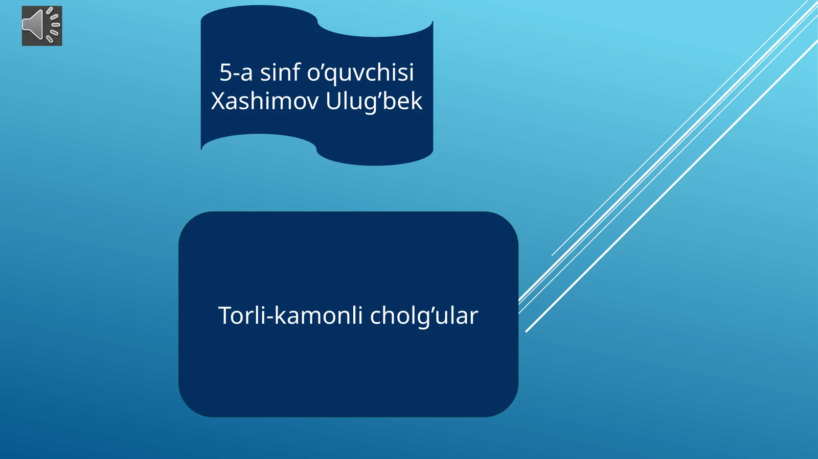 Torli-kamonli cholgʻular