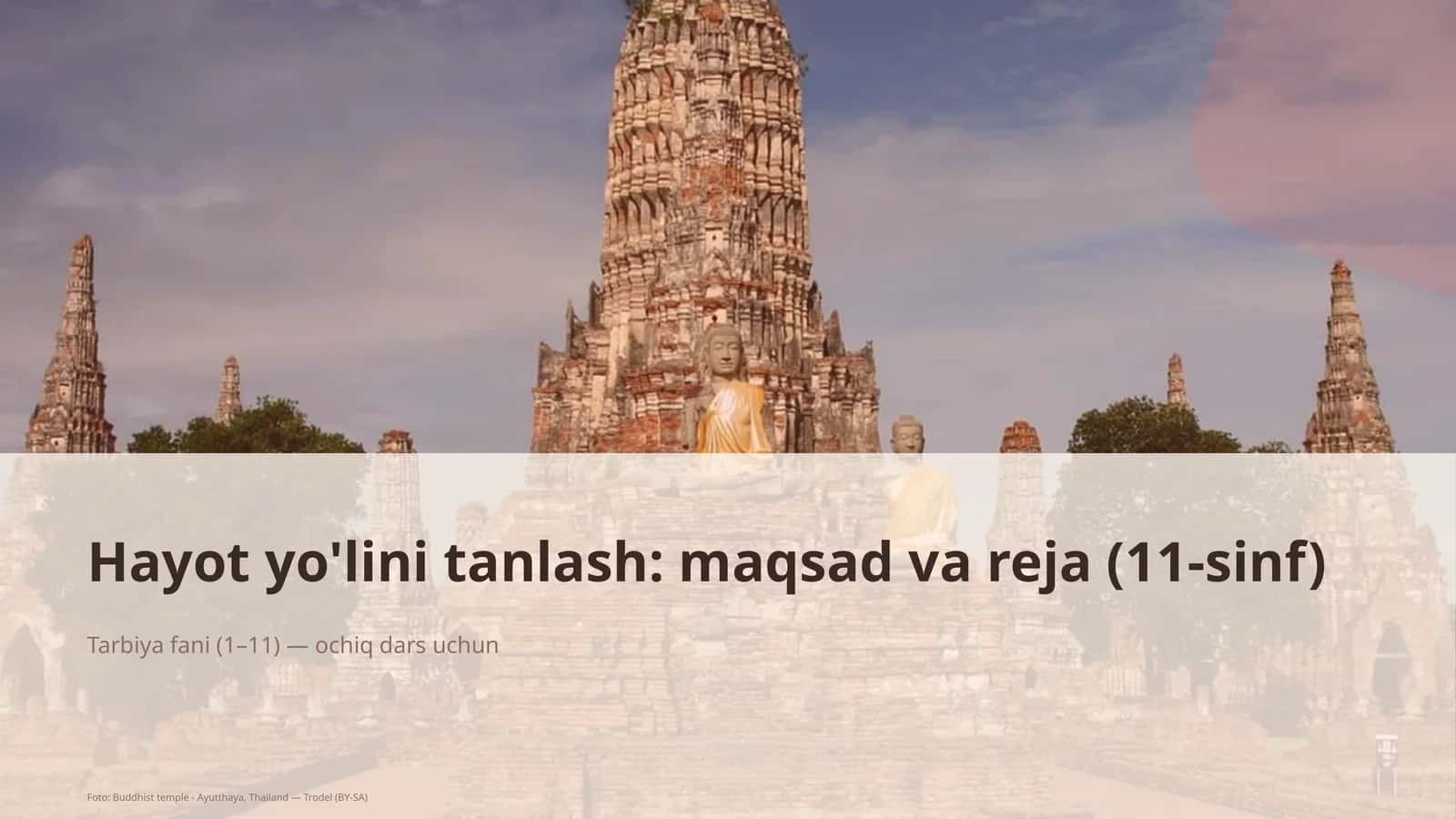 Hayot yo'lini tanlash: maqsad va reja (11-sinf)