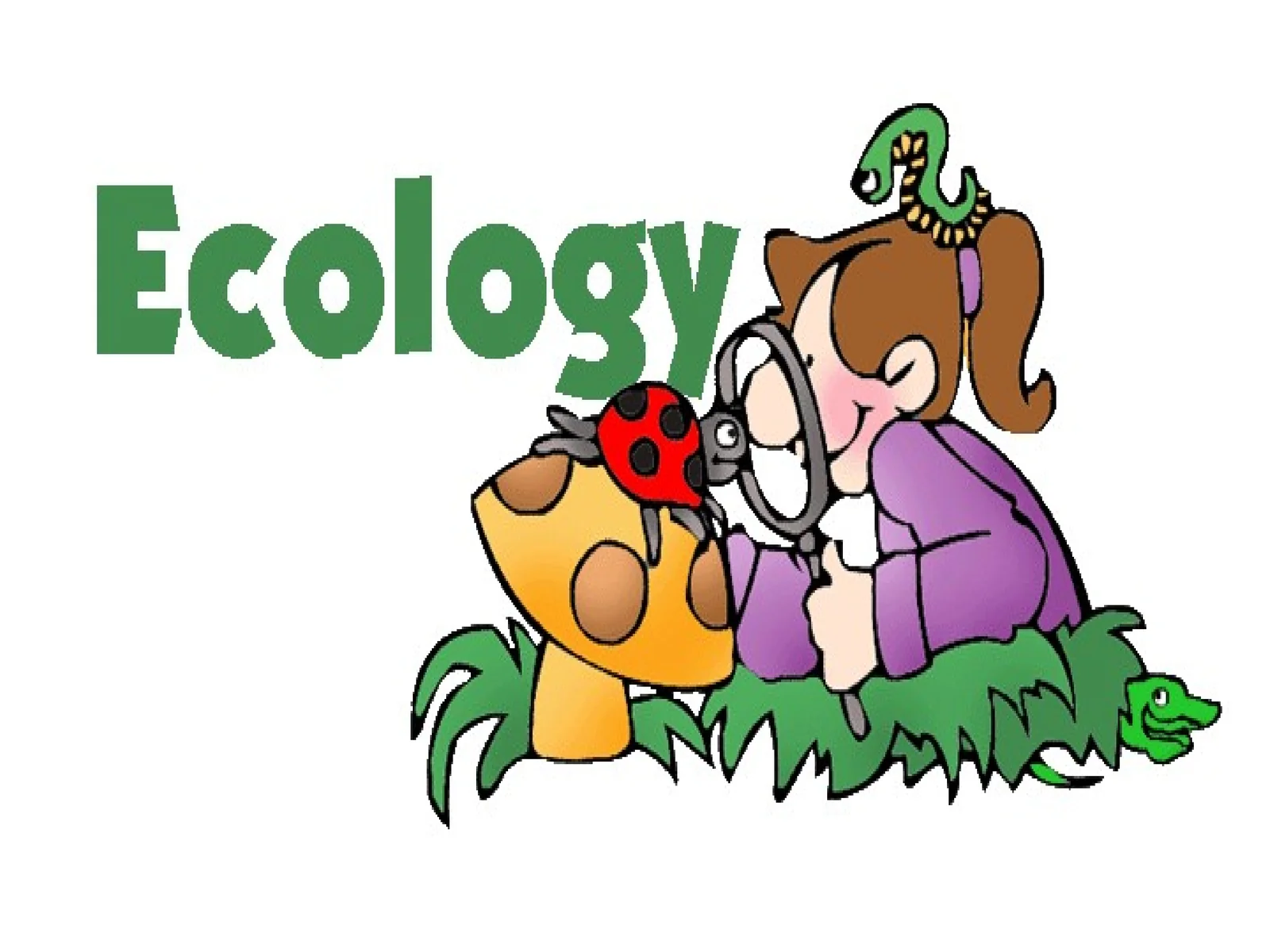 Ekologiya asoslari (Ecology Fundamentals)