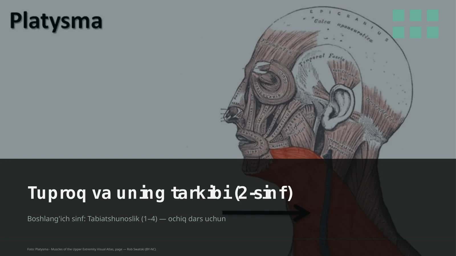 Tuproq va uning tarkibi (2-sinf)