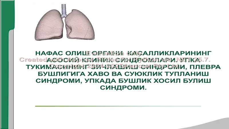 НАФАС ОЛИШ ОРГАНИ КАСАЛЛИКЛАРИНИНГ АСОСИЙ КЛИНИК СИНДРОМЛАРИ. УПКА ТУКИМАСИНИНГ ЗИЧЛАШИШ СИНДРОМИ, ПЛЕВРА БУШЛИГИГА ХАВО ВА СУЮКЛИК ТУПЛАНИШ СИНДРОМИ, УПКАДА БУШЛИК ХОСИЛ БУЛИШ СИНДРОМИ.