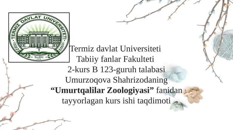 Umurtqalilar Zoologiyasi