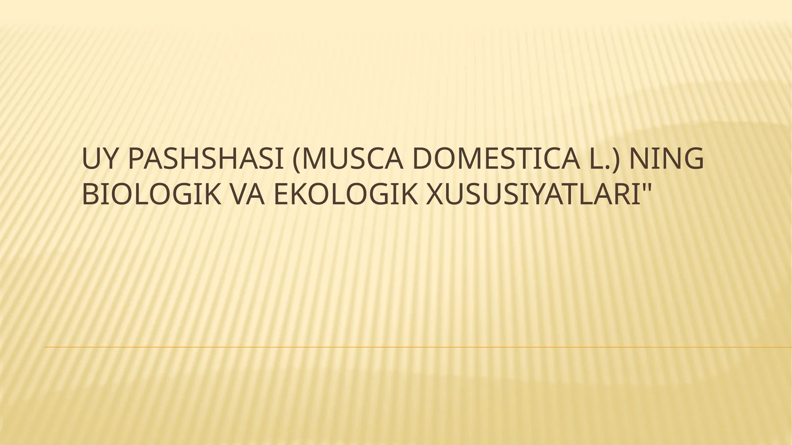 Uypashshasi(Musca domestica L.)ning biologik va ekologik xususiyatlari