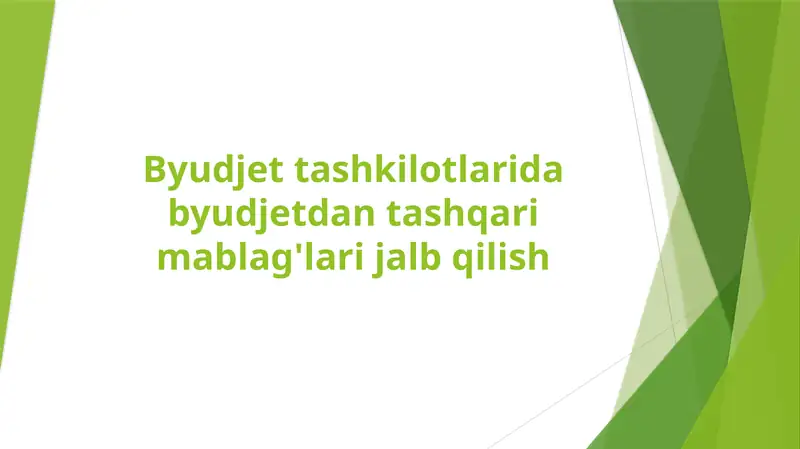 Byudjet tashkilotlarida byudjetdan tashqari mablag'lari jalb qilish