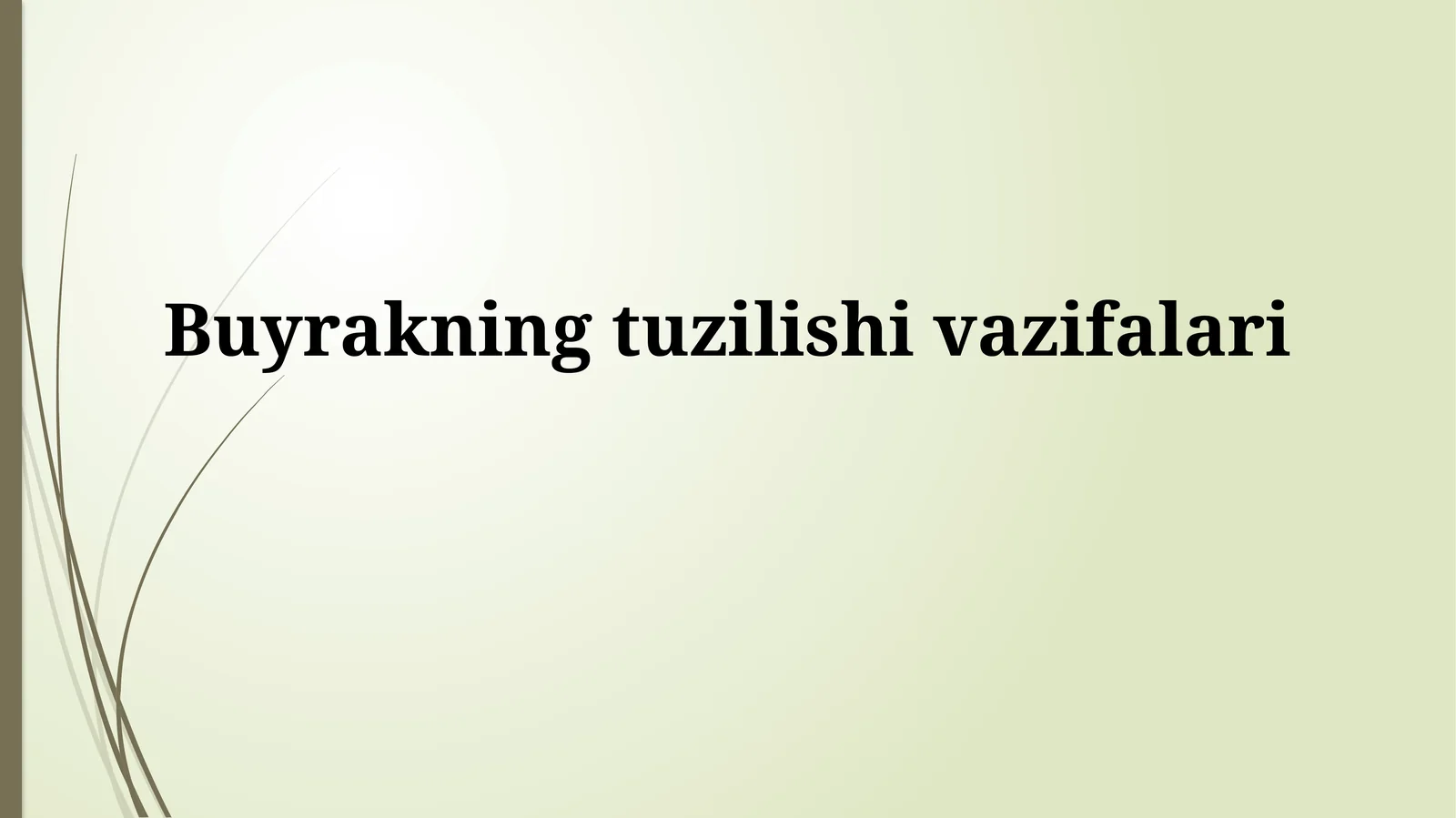 Buyrakning tuzilishi va vazifalari