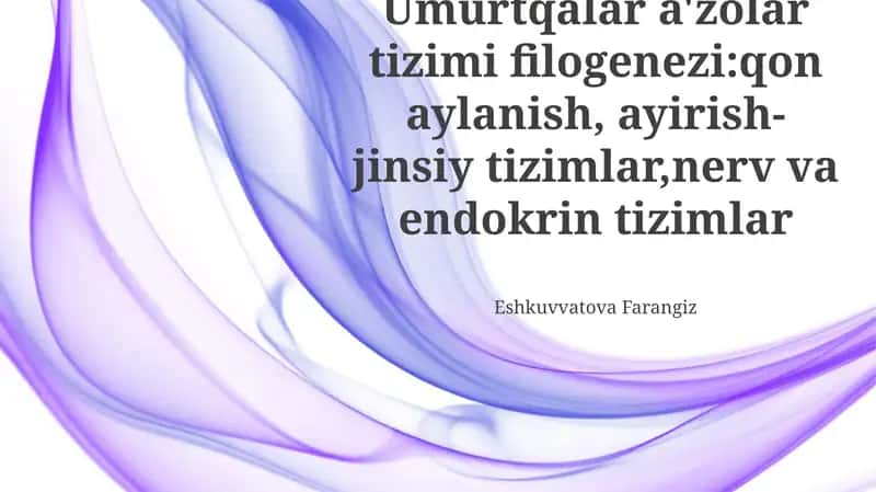 Umurtqalar a'zolar tizimi filogenezi