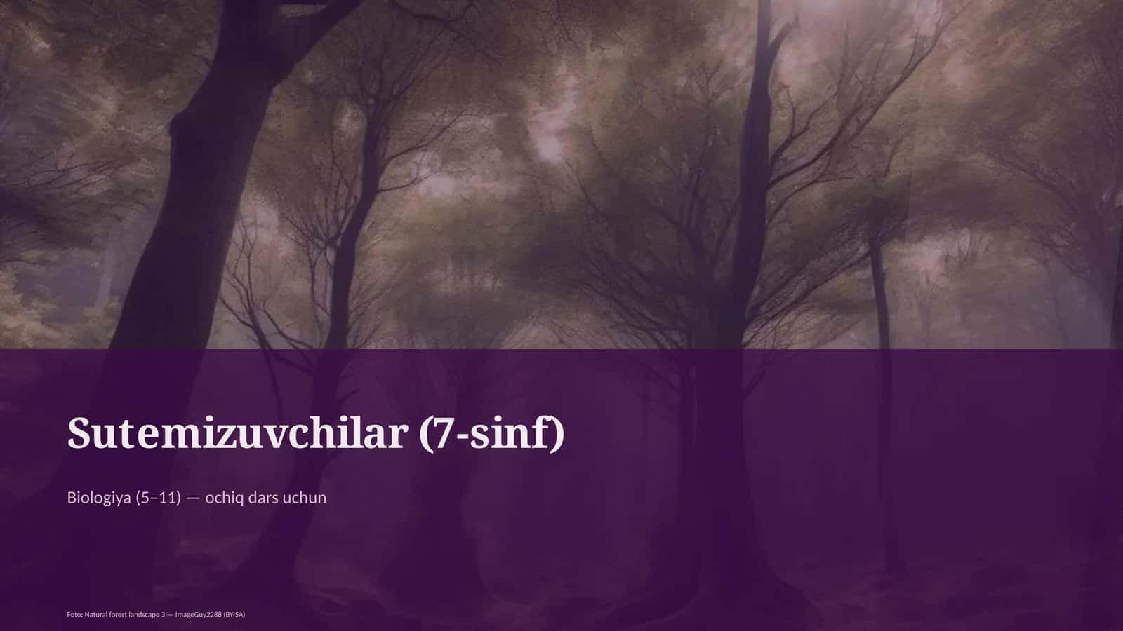 Sutemizuvchilar (7-sinf)